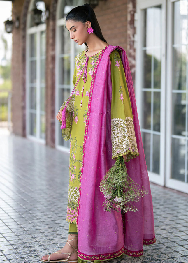 Alizeh | Eid Festive Vol 2 - Summer
