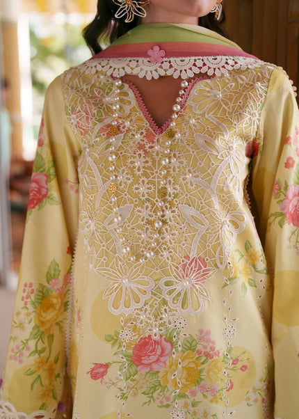 AJR Couture | Printed Chikankari '26 - Feya