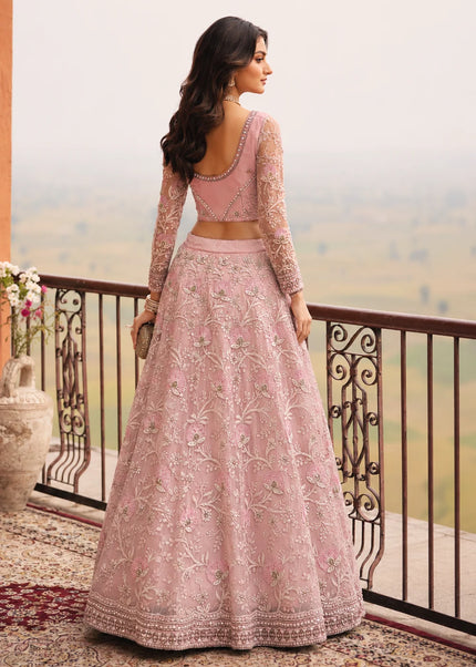 Pink Embroidered Lehenga choli