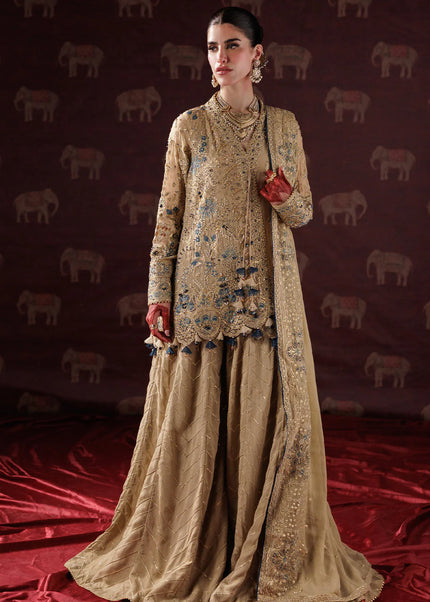 Saad Shaikh | Panache-Luxury Chiffon'25 - D-05
