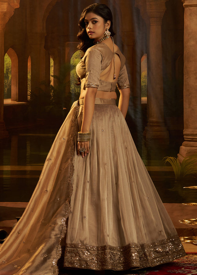 Brown Embroidered Lehenga Choli