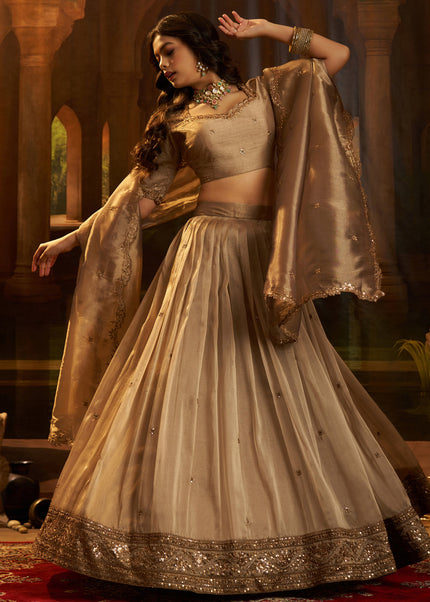Brown Embroidered Lehenga Choli