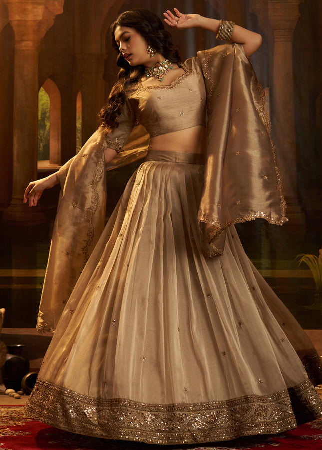 Brown Embroidered Lehenga Choli