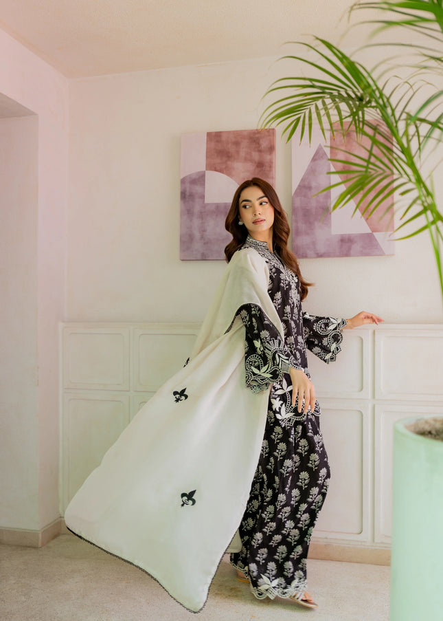 Shanzay Anooshay | Monochrome Muse