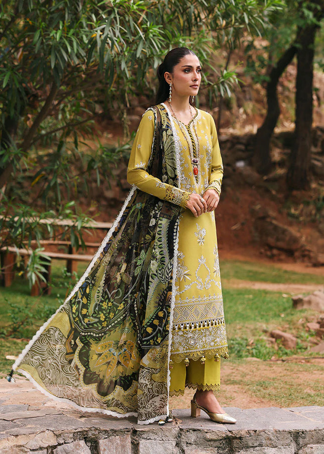 REPUBLIC | Talia Summer Lawn '25- Numa