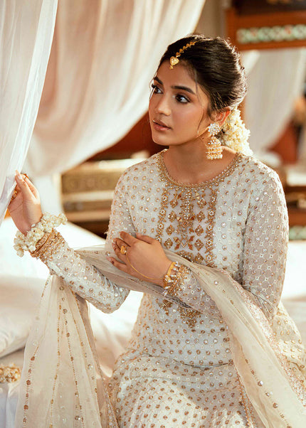 Maya | Dil Ki Batain - Pareesa