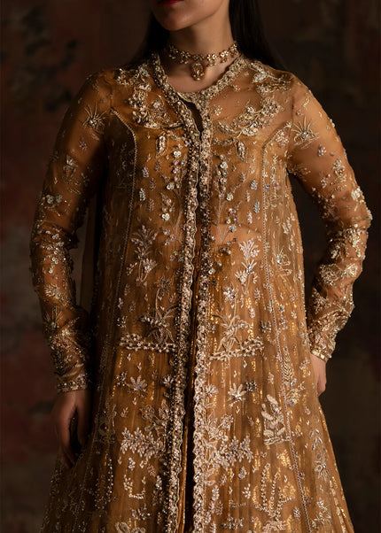 Nyra | Wedding Festive '25 - Zinnia