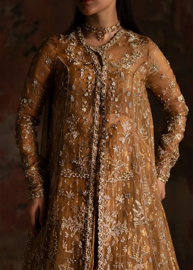 Nyra | Wedding Festive '25 - Zinnia