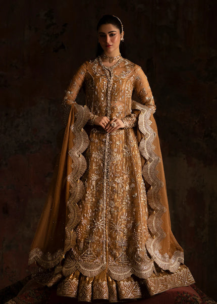 Nyra | Wedding Festive '25 - Zinnia