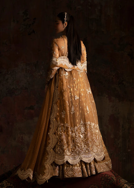 Nyra | Wedding Festive '25 - Zinnia