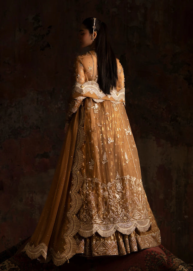 Nyra | Wedding Festive '25 - Zinnia