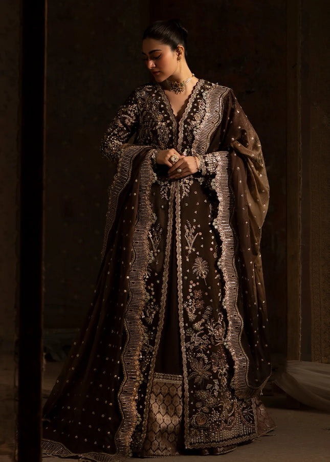 Nyra | Wedding Festive '25 - Zareen