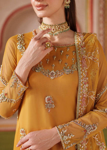 Zarif | Falesia - Soha