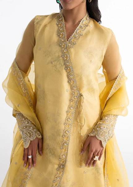 Soie | Eid Festive '26 - Alba