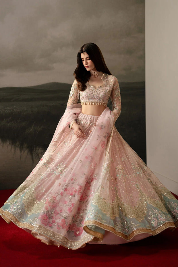 <h3><span style="text-decoration:underline"><strong>The Pakistani<br/></strong></span><em><strong>Edit</strong></em></h3>