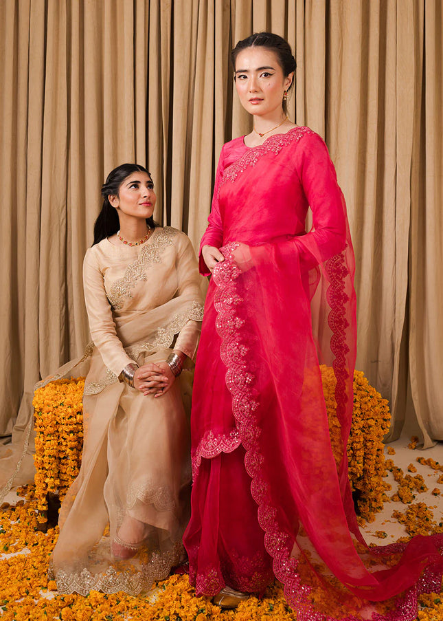 Pashma Khan | Chamak Dhamak - Meena