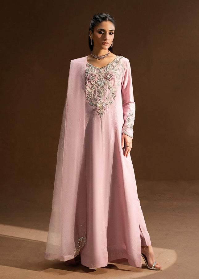 Amber Imran | Lumiere - Xevia