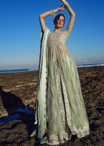 Mahum Asad | Afterlight - Minted