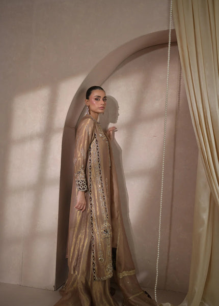 Nimrah | Zeina Festive Formals - Vanya