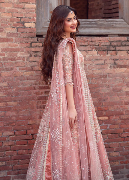 Bin Ilyas | D-604