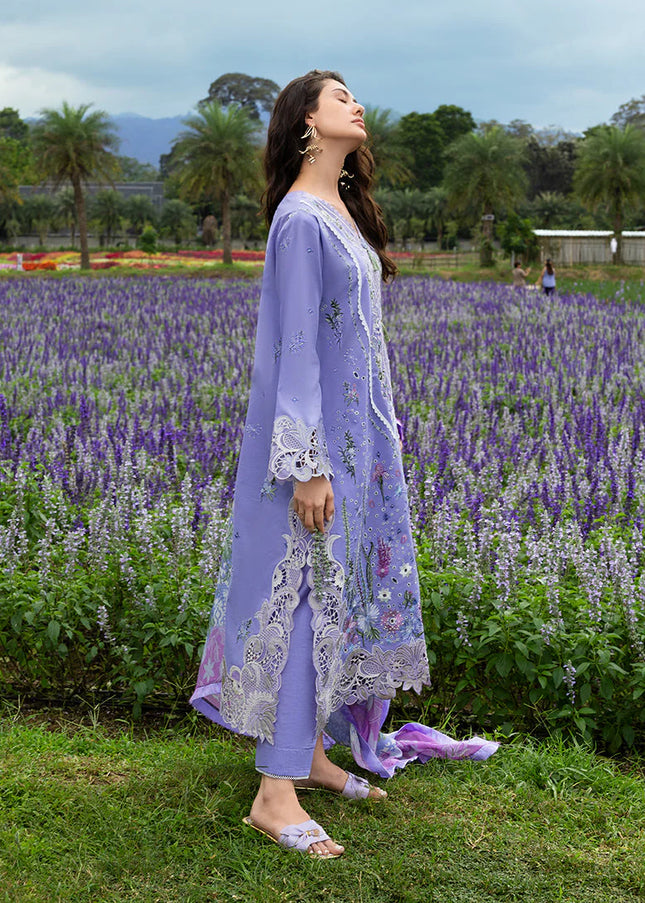 Mushq | The Secret Garden - Daisy Reverie