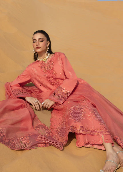 Rang Rasiya | Premium Summer Collection '26 - Elnaz