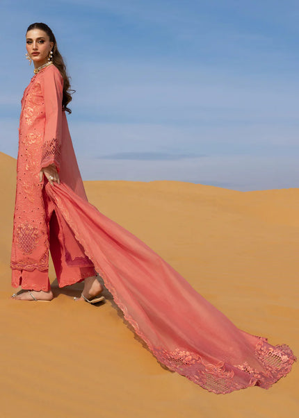 Rang Rasiya | Premium Summer Collection '26 - Elnaz