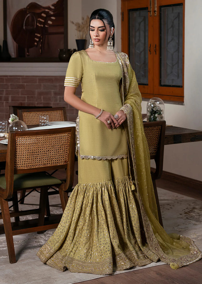 Faiza Faisal | Zareen - Lustre