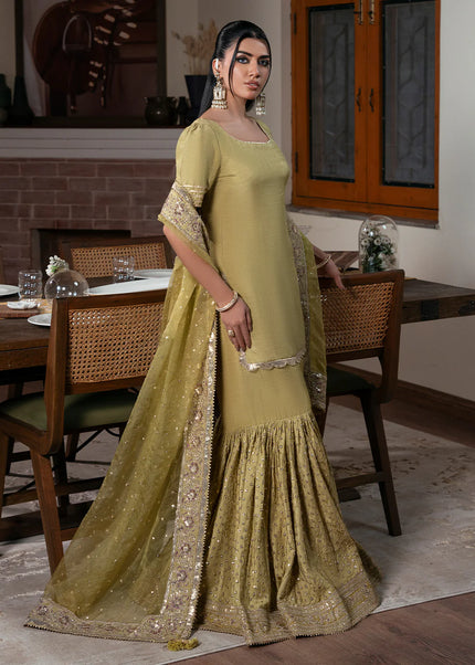 Faiza Faisal | Zareen - Lustre