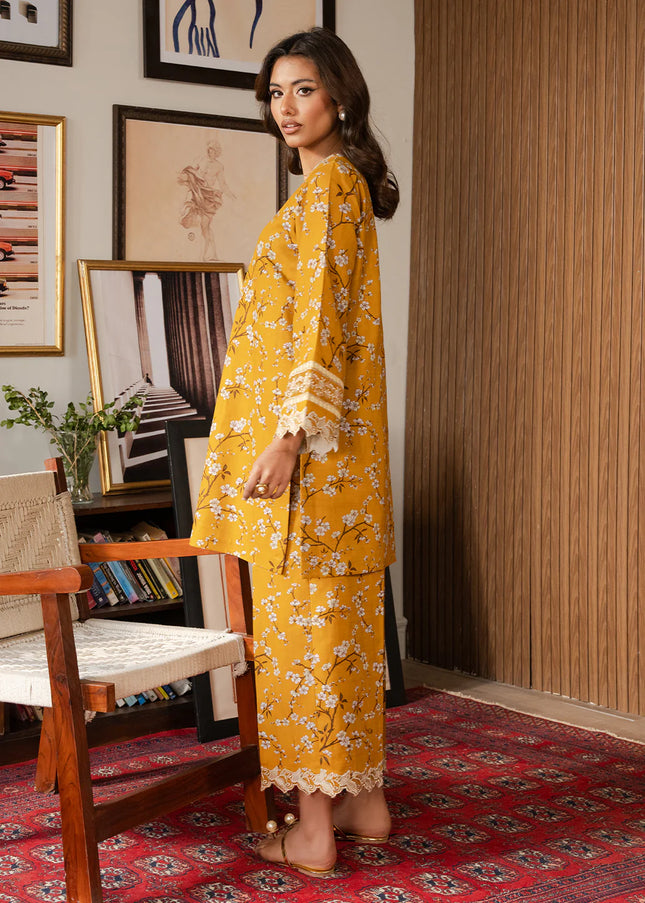 Faiza Faisal | Lumiere - Solara