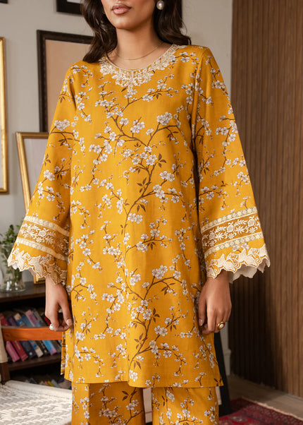 Faiza Faisal | Lumiere - Solara