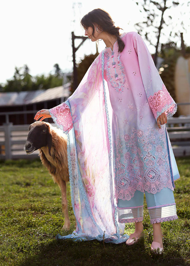 Mushq | Solace Ombre Chikankari - Faint Blossom