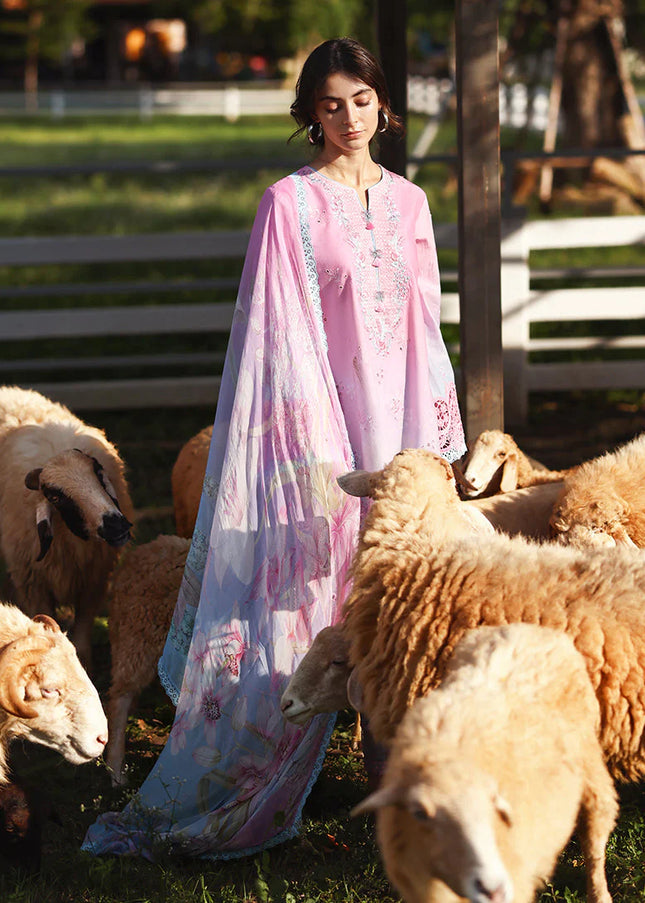 Mushq | Solace Ombre Chikankari - Faint Blossom