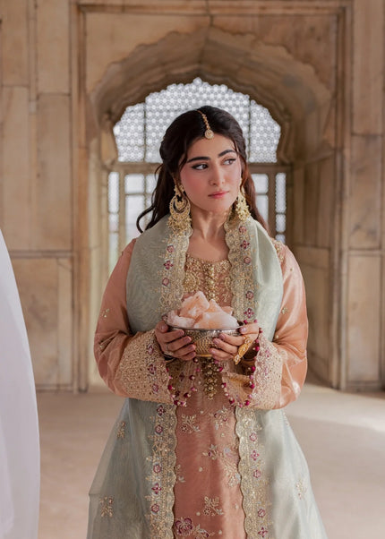 Rang Rasiya | Chatoyer Wedding Formals '26  - Fleur