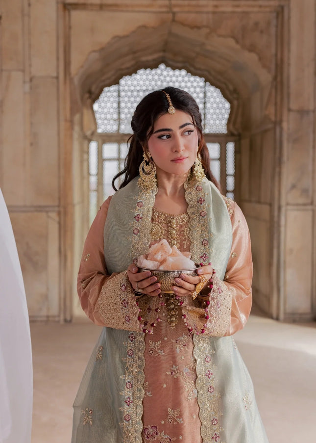 Rang Rasiya | Chatoyer Wedding Formals '26  - Fleur