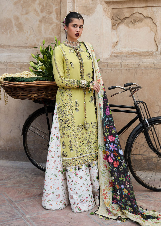 Hussain Rehar | Nirmal SS'25 - Suk
