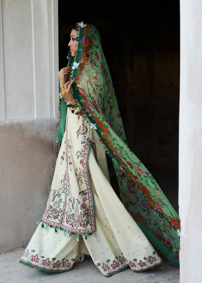 Hussain Rehar | Nirmal SS'25 - Sahil
