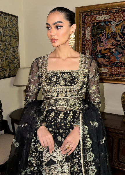 Mohid Shahzad | Eliana Festive '26 - Novera