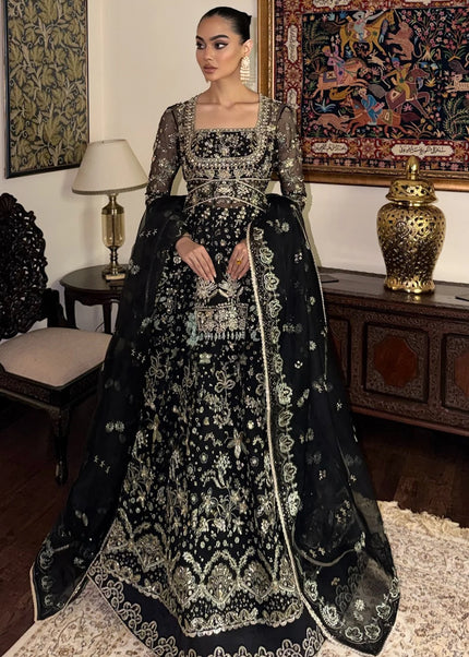 Mohid Shahzad | Eliana Festive '26 - Novera