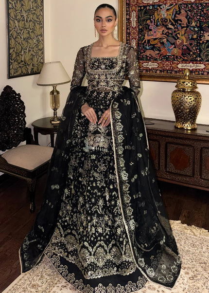 Mohid Shahzad | Eliana Festive '26 - Novera