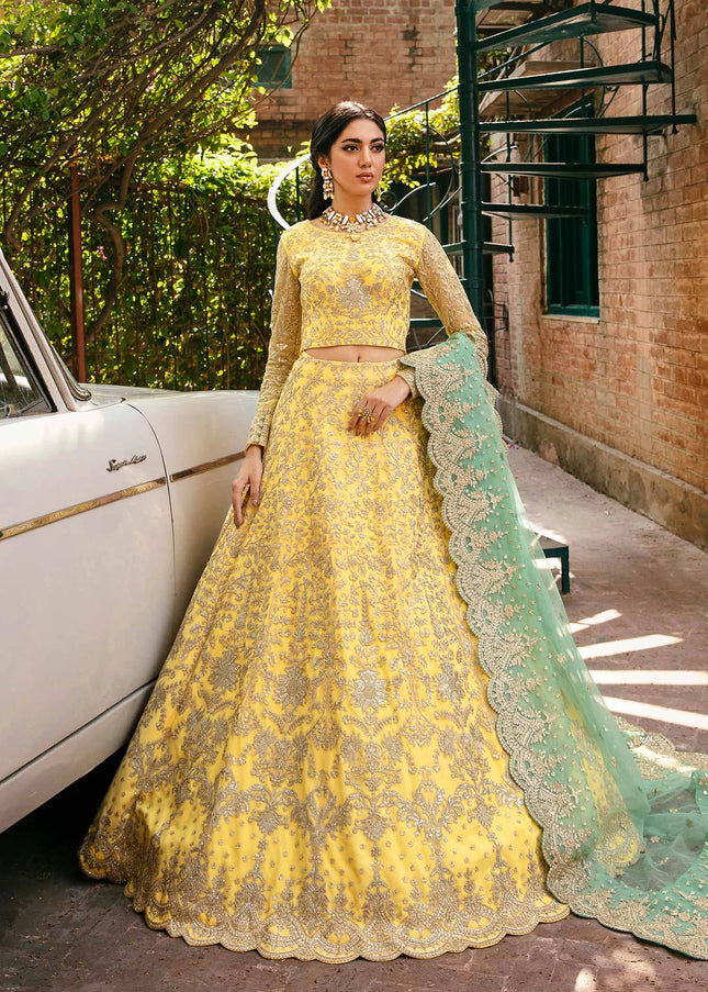 Akbar Aslam | Ilona