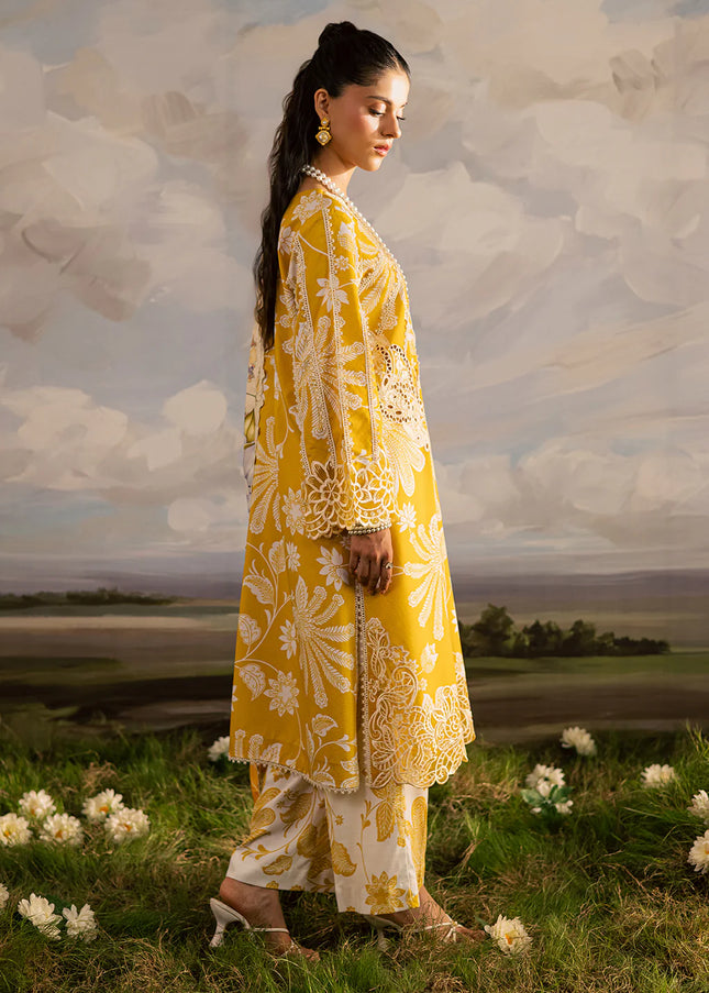 Mahnur | Kaia'25 - K-03