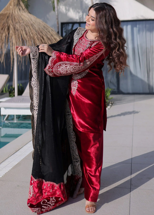 Red Embroidered Pant Style Suit