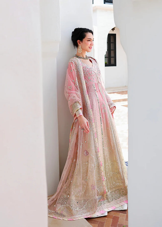 Mushq | Bachelorette Chronicles - Last Fling
