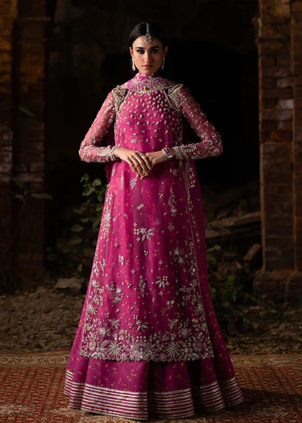 Nyra | Wedding Festive '25 - Mushq