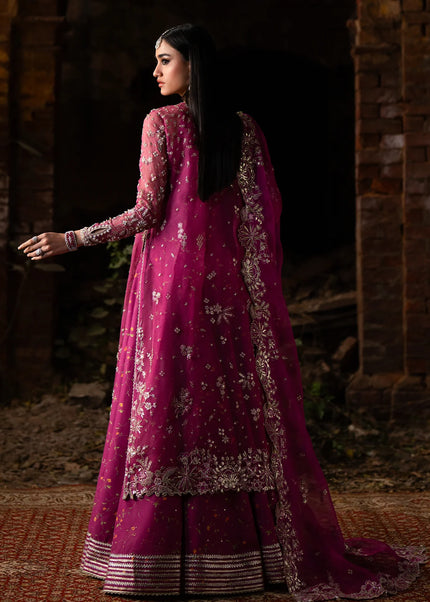 Nyra | Wedding Festive '25 - Mushq