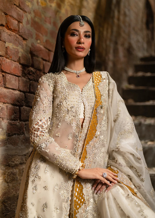 Nyra | Wedding Festive '25 - Soz