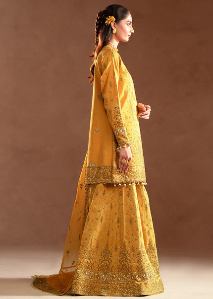 Emaan Adeel | Veloria