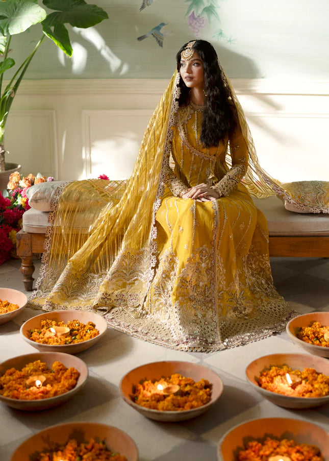 Qalamkar | Dilnaaz Wedding Formals | Kanza D4
