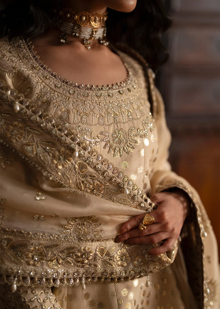 Saad Bin Shahzad | Silk'25 - Saphina